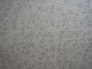Red-Krayola-Portal-Leonard-2009-2.jpg