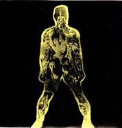 Born in Flames 1980